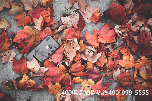 (400電話哪家公司的)(正規(guī)400電話)