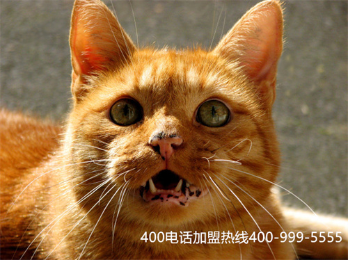 400電話(huà)辦理找信通網(wǎng)贏（美團(tuán)24小時(shí)投訴電話(huà)）