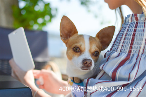 400電話辦理找哪家,辦理400電話哪家好